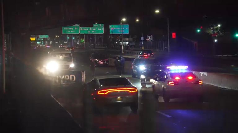 Bronx River Parkway took two lives. District 18 keeps counting.